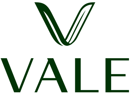 Vale Healthy Kitchen
